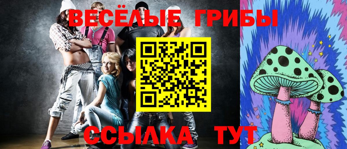 Галлюциногенные грибы Psilocybe  Вход с VPN  Кушва  Псилоцибиновые грибы Magic Shrooms 